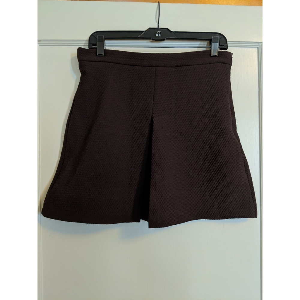 Zara v-pleat skirt